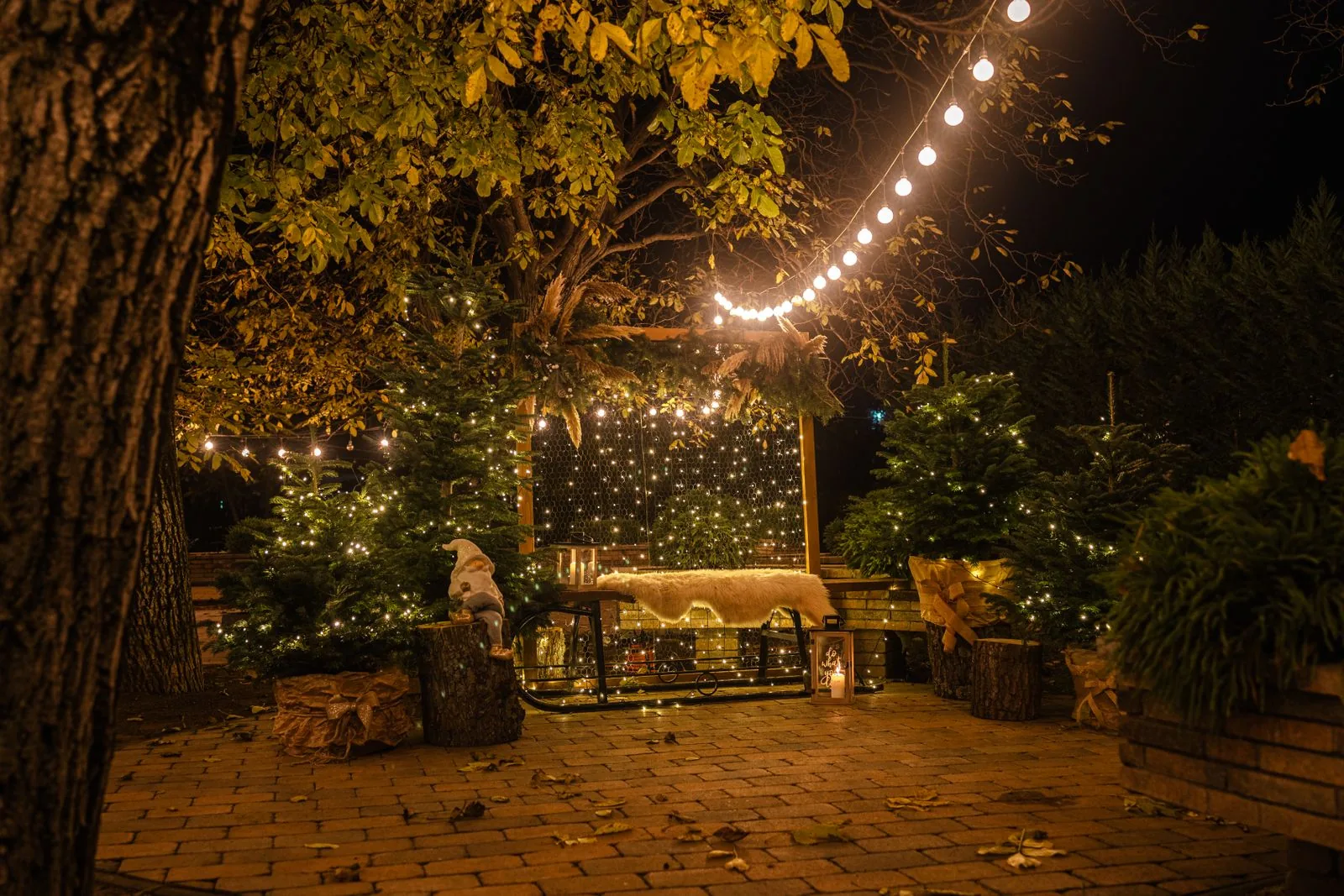Áreas comunes, jardín y terraza